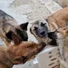元気な男の子 サムネイル4