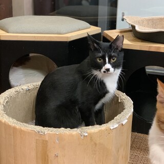 表情豊かで愛らしい☆るかわ