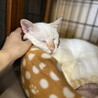 呼ぶとお返事してくれるげんちゃん☆ サムネイル2