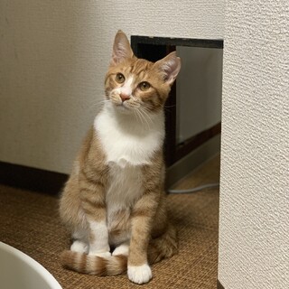 怖がりさんから大変身☆ほるすくん