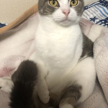 こちらで、お迎えした子です。