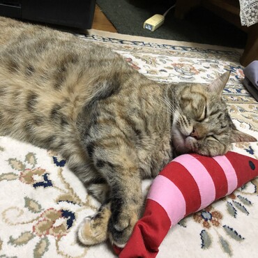 気持ちよさげ