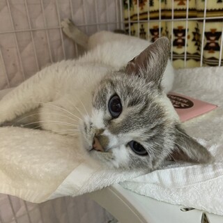 3/17稲毛海岸ෆ⃛すりすり可愛いෆ⃛うるちゃん