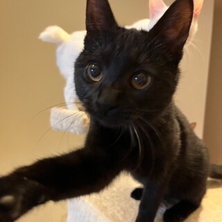 4/7西千葉ෆ⃛ゴロゴロご機嫌ෆ⃛エレくん