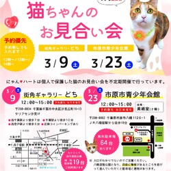 にゃんハートお見合い会（小さな譲渡会）