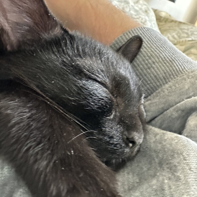 一世のカバー写真