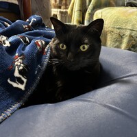 ウタ