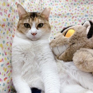 【12/1東日本橋】無邪気なママ♡あざみちゃん