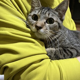 募集一時停止します。