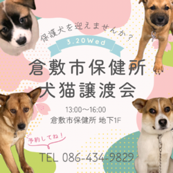 倉敷市保健所　収容犬猫譲渡会