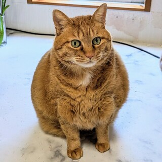 急募！可愛がってくれる方お願いします