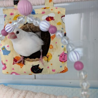 募集終了致します