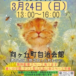 保護猫のふれあい会