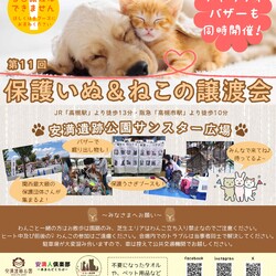 保護犬猫譲渡会とチャリティーバサー