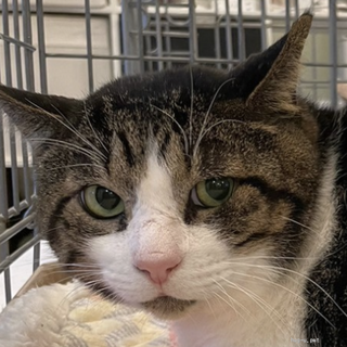 見た目に反して甘えん坊のゴルゴくん♪♪