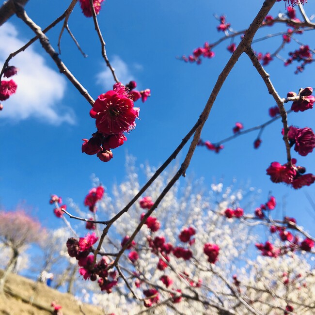 そどのカバー写真