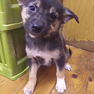 『雅』ちゃん生後3ヶ月齢です！