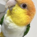 停止中