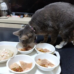 「ななちゃんの４歳の誕生日」サムネイル2