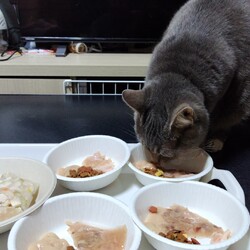 「ななちゃんの４歳の誕生日」サムネイル3