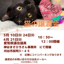 刈谷地域ねこの会　譲渡会