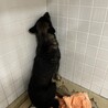 保健所にいます、期限12日までです！ サムネイル5