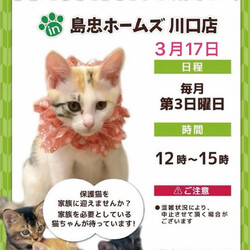 3/17（日）島忠ホームズ川口店　譲渡会参加