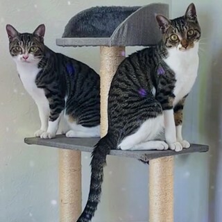 まったり甘えん坊姉妹☆