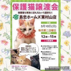 3月10日(日)島忠HOME'S東村山店譲渡会！