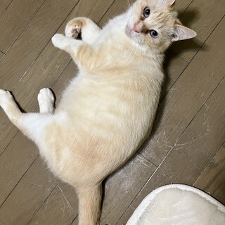 とぉーっても甘えん坊な男の子です