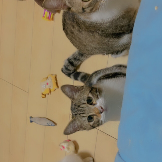 まーーーーしーーーのカバー写真