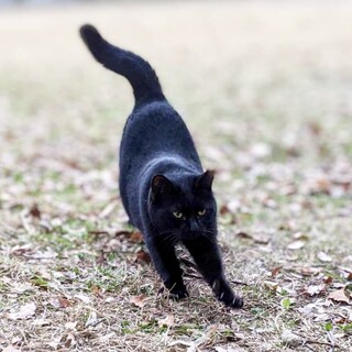 随時お見合い可　抱っこ大好き姫気質な天音ちゃん♡