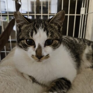 有り難うございます。決まりました3/20