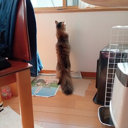 「ハンター」サムネイル1