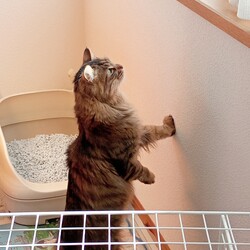 「ハンター」サムネイル2