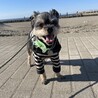 海さんぽ