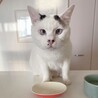 ブルーの瞳のドナルドくん