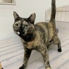 賢く優しいジアちゃん