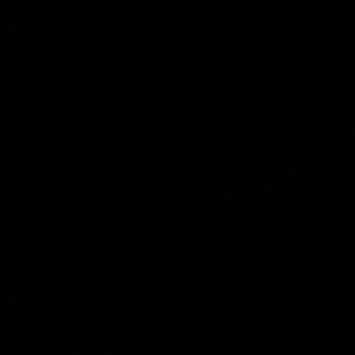 ⭐︎ビションフリーゼの男の子 里親募集⭐︎