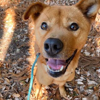 フレンドリーカシューくん！