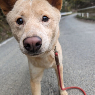 かわいいカナミちゃん❤️
