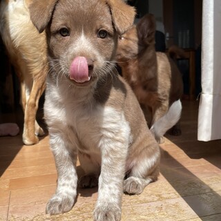 自己主張強め女子♡ヤーハ
