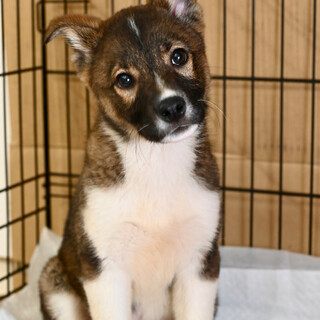 ニーシャちゃん❤️