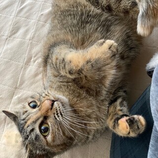 ちょこちょこ遊ぶ姿が可愛い女の子