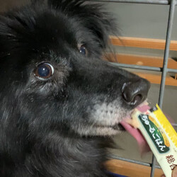 「報告書 2024/03/13」サムネイル2