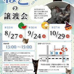 ねこの譲渡会＠JR芦屋駅から徒歩3分