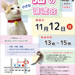 【臨時！】小さな譲渡会 ＠JR芦屋駅から徒歩3分