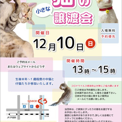 【臨時！】小さな譲渡会 ＠JR芦屋駅から徒歩3分