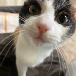 4/28津田沼ෆ⃛人が大好きෆ⃛リリちゃん