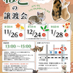 ねこの譲渡会＠JR芦屋駅から徒歩3分